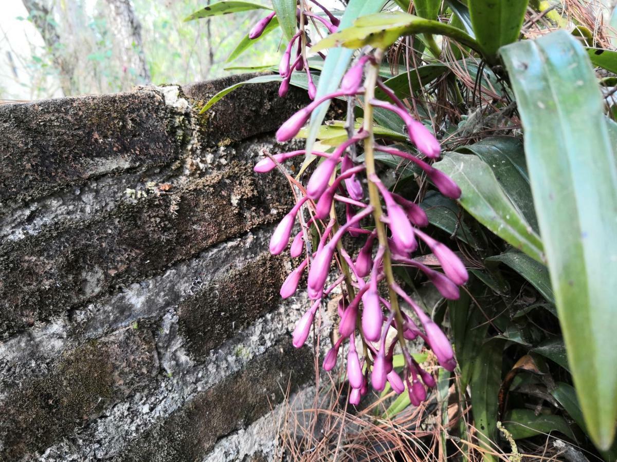 Renta De Cabanas, Centro Ecoturistico Rural Sustentable Labor San Jose San Cristóbal de Las Casas 外观 照片