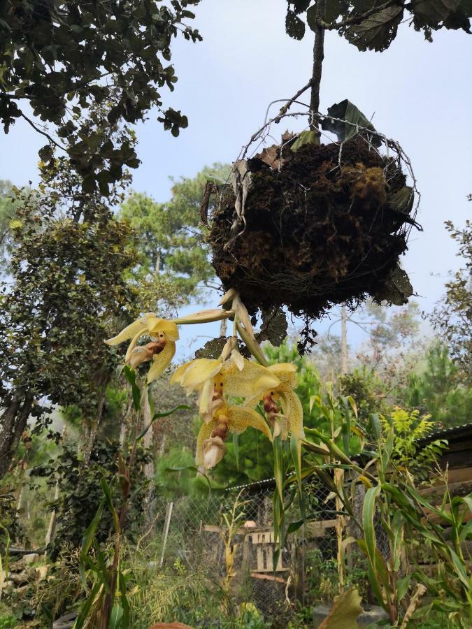 Renta De Cabanas, Centro Ecoturistico Rural Sustentable Labor San Jose San Cristóbal de Las Casas 外观 照片